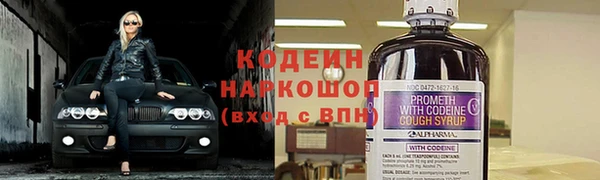 первитин Гусев