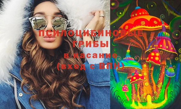 первитин Гусев