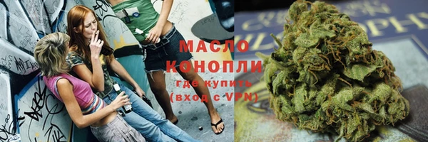 первитин Гусев