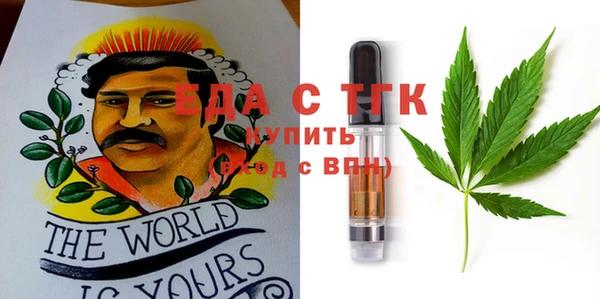 первитин Гусев